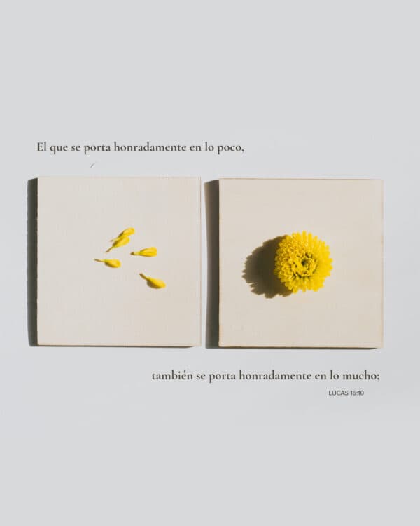 El que se porta honradamente en lo poco, también se porta honradamente en lo mucho; - Lucas 16:10
