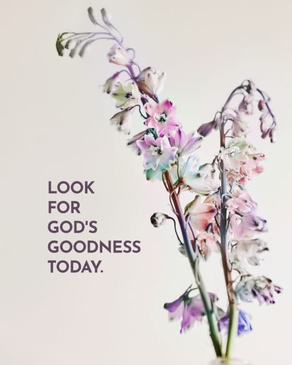 Look for God's goodness today.