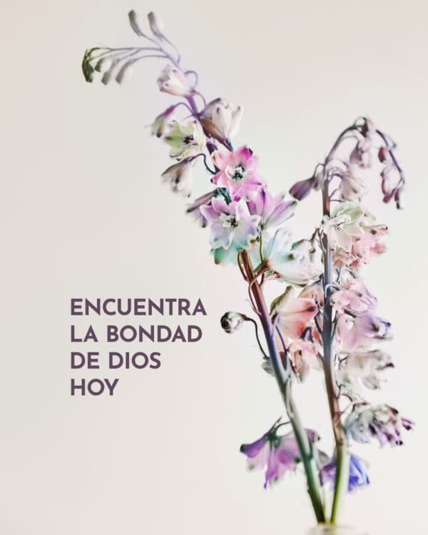 Encuentra la bondad de Dios hoy