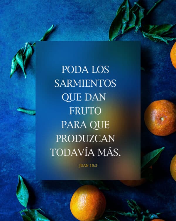 Poda los sarmientos que dan fruto para que produzcan todavía más. - Juan 15:2