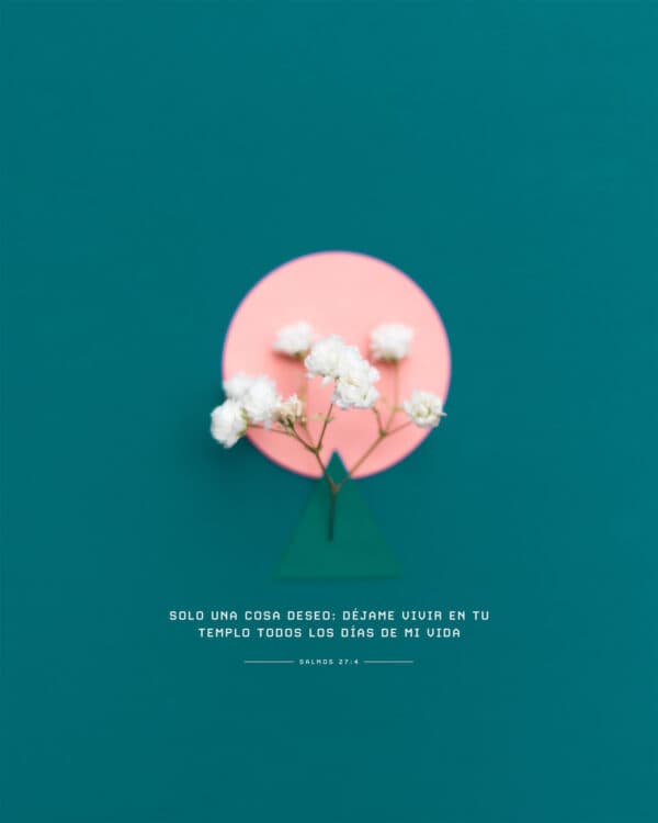Solo una cosa deseo: déjame vivir en Tu templo todos los días de mi vida. - Salmos 27:4