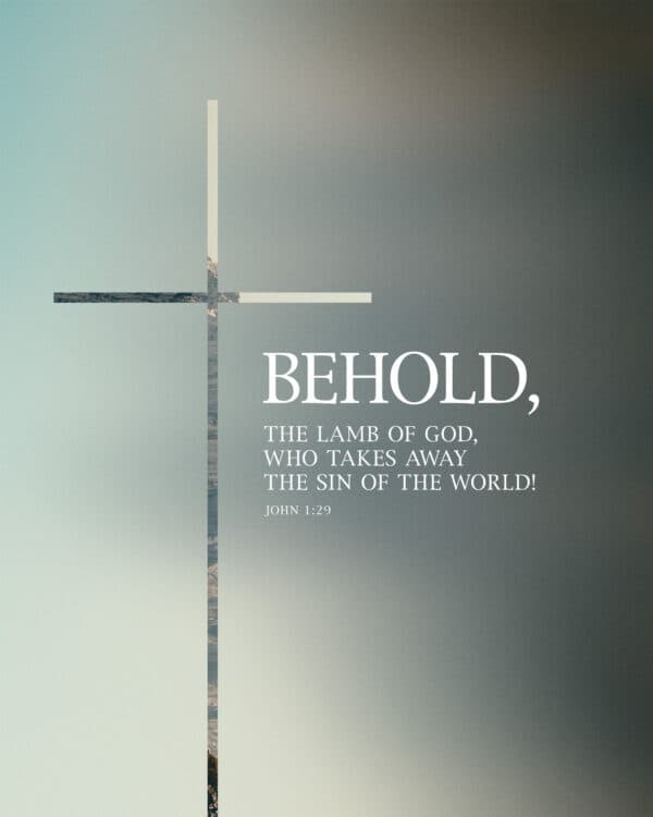 Behold, the Lamb of God, who takes away the sin of the world! - John 1:29