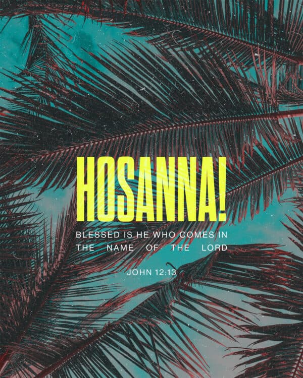 Hosanna! Blessed is he who comes in the name of the Lord. - John 12:13