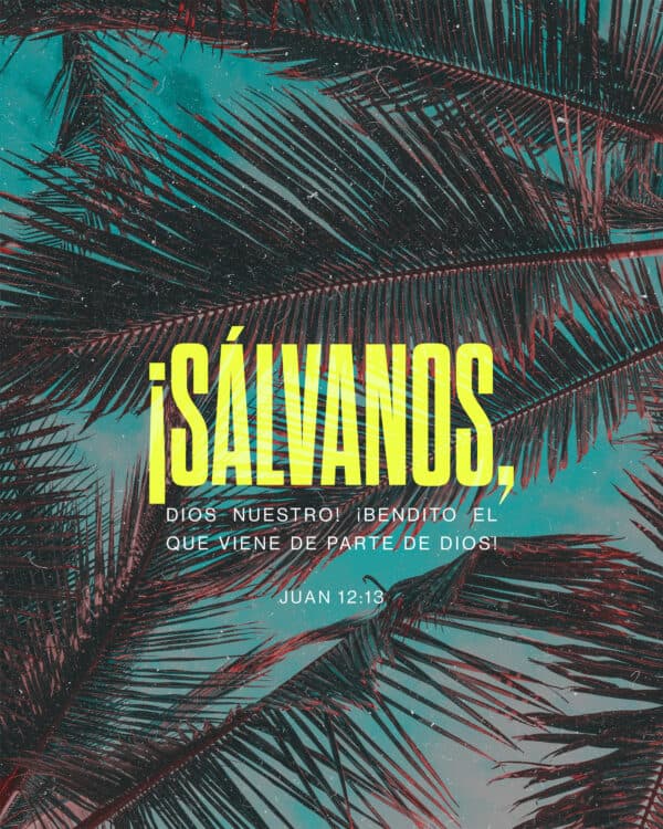 ¡Sálvanos, Dios nuestro! ¡Bendito el que viene de parte de Dios! - Juan 12:13