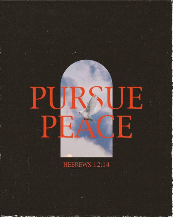 Pursue peace. - Hebrews 12:14