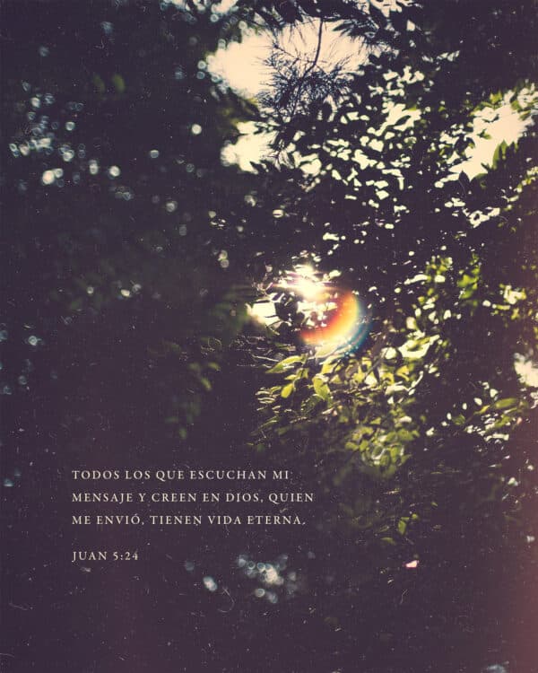 Todos los que escuchan mi mensaje y creen en Dios, quien me envió, tienen vida eterna. - Juan 5:24