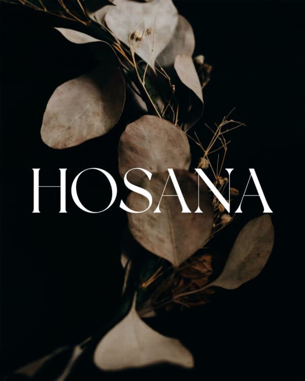 Hosana