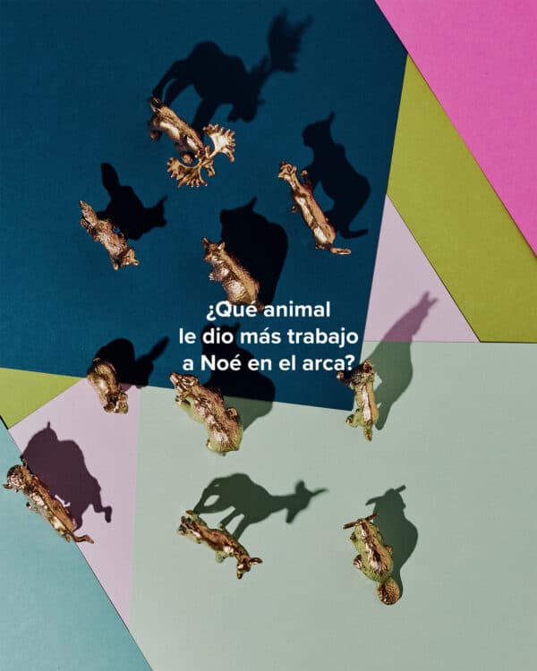 ¿Qué animal le dio más trabajo a Noé en el arca?