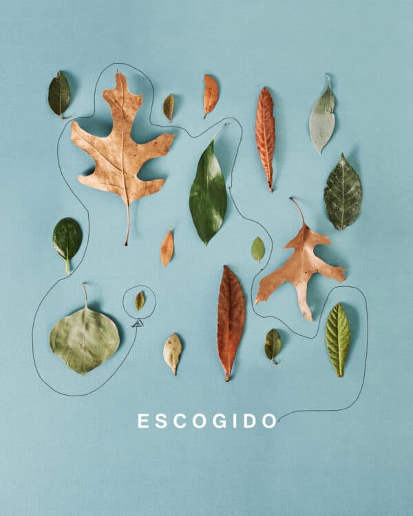 Escogido