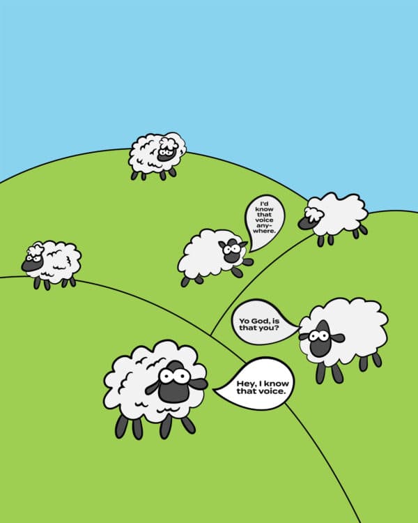 Sheep: Hey, I know that voice. Yo God, is that you? I'd know that voice anywhere.