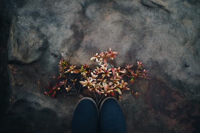 February Verse-of-the-Day Shoot 7