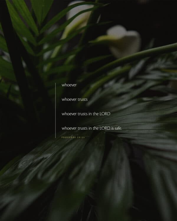 Whoever trusts in the LORD is safe. - Proverbs 29:25