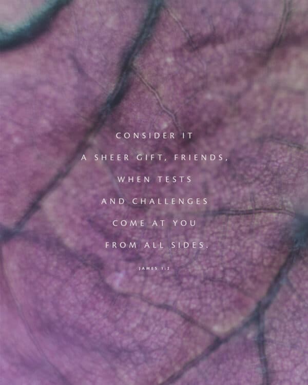 Consider it a sheer gift, friends, when tests and challenges come at you from all sides. - James 1:2
