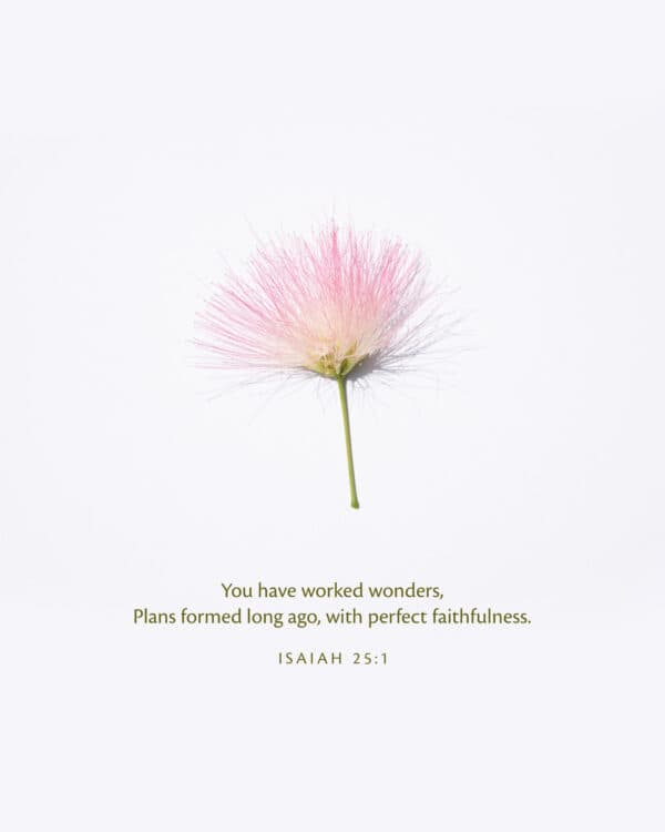 You have worked wonders, plans formed long ago, with perfect faithfulness. - Isaiah 25:1