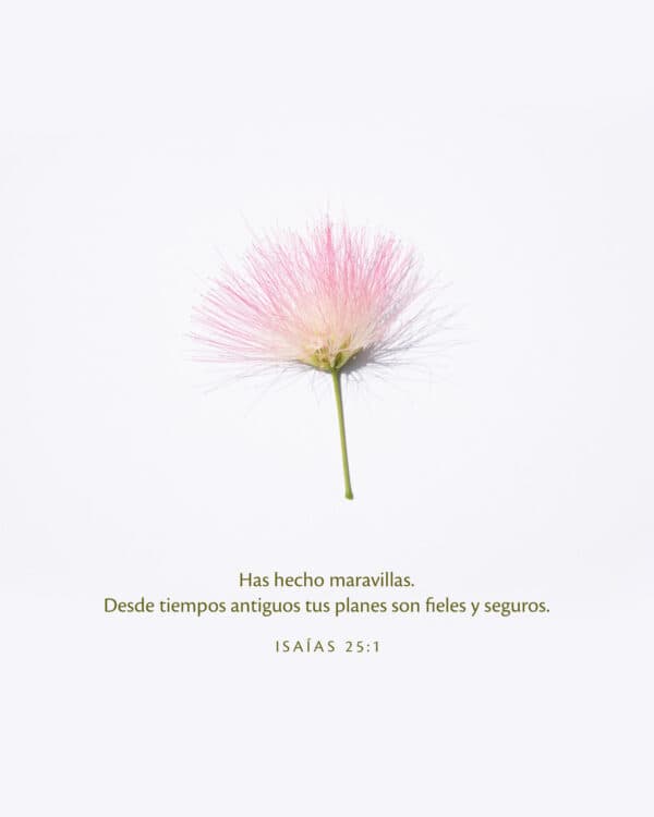 Has hecho maravillas. Desde tiempos antiguos tus planes son fieles y seguros. - Isaías 25:1