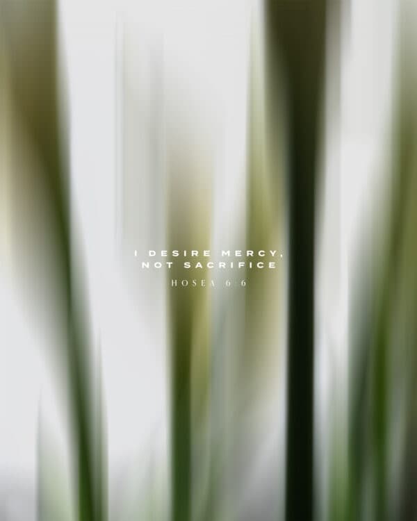 I desire mercy, not sacrifice. - Hosea 6:6