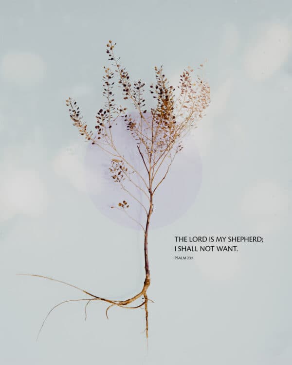 The LORD is my shepherd; I shall not want. - Psalm 23:1