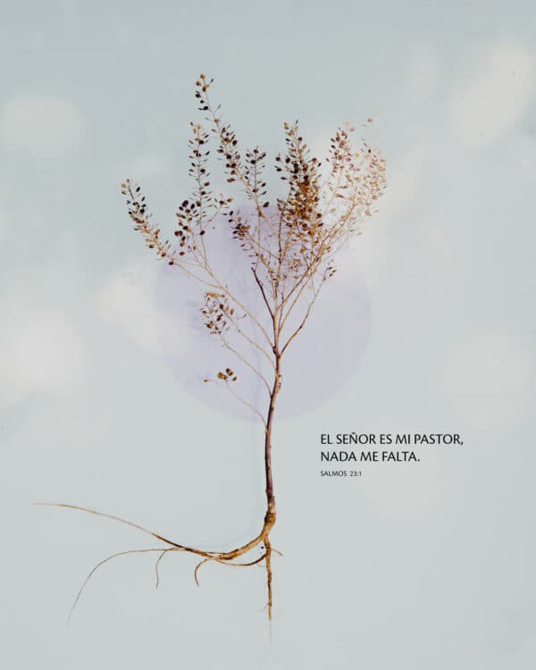 El SEÑOR es mi pastor, nada me falta. - Salmos 23:1
