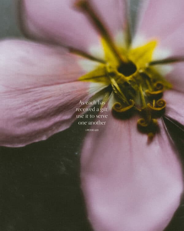 As each has received a gift, use it to serve one another. - 1 Peter 4:10