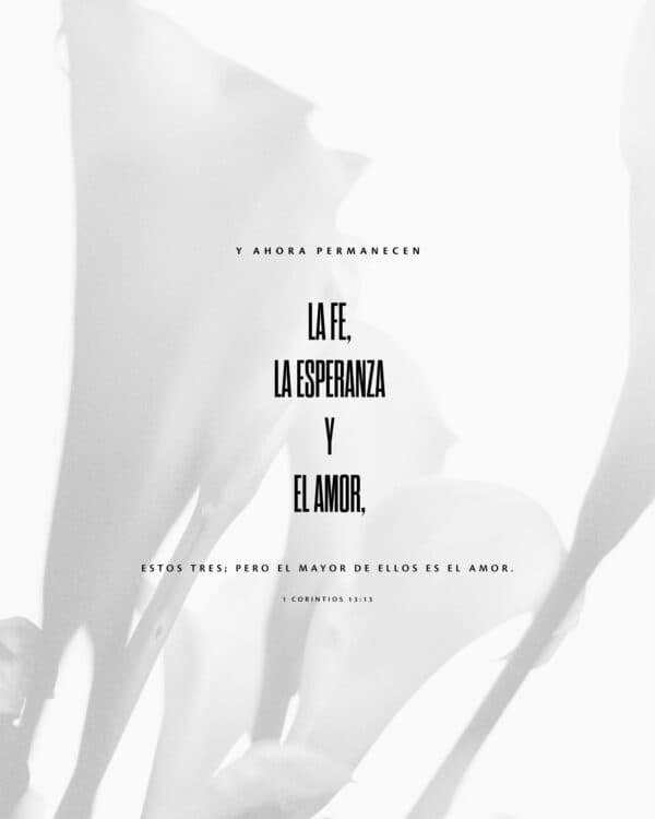 Y ahora permanecen la fe, la esperanza y el amor, estos tres; pero el mayor de ellos es el amor. - 1 Corintios 13:13