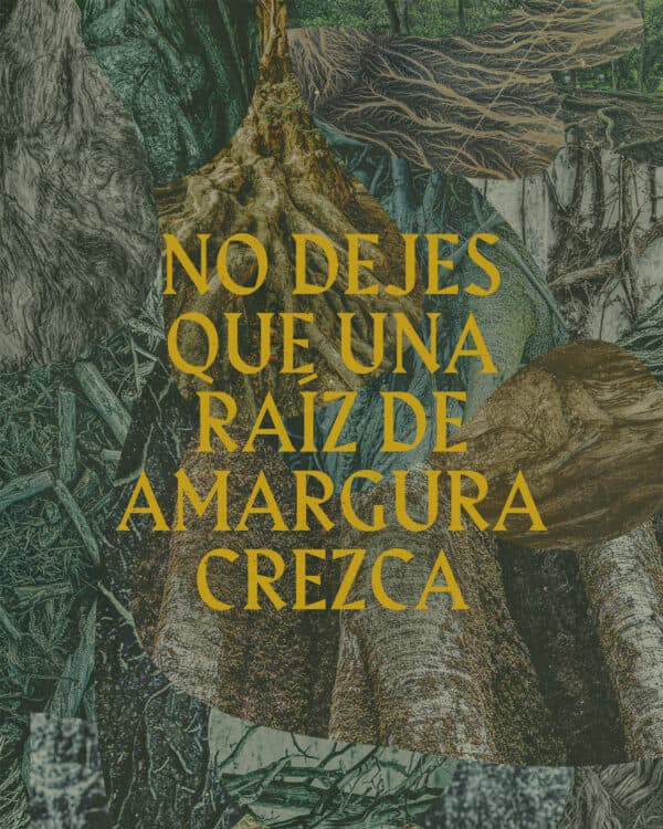 No dejes que una raíz de amargura crezca