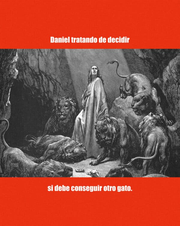 Daniel tratando de decidir si debe conseguir otro gato.