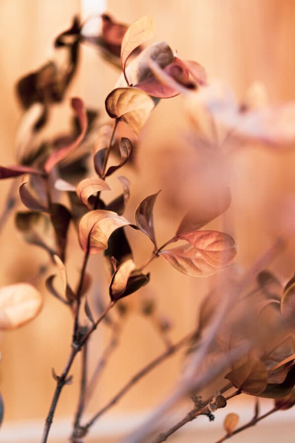 Leaves 2