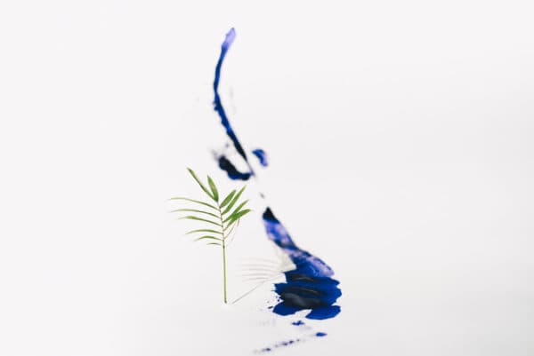 Palm Sunday Shoot 2