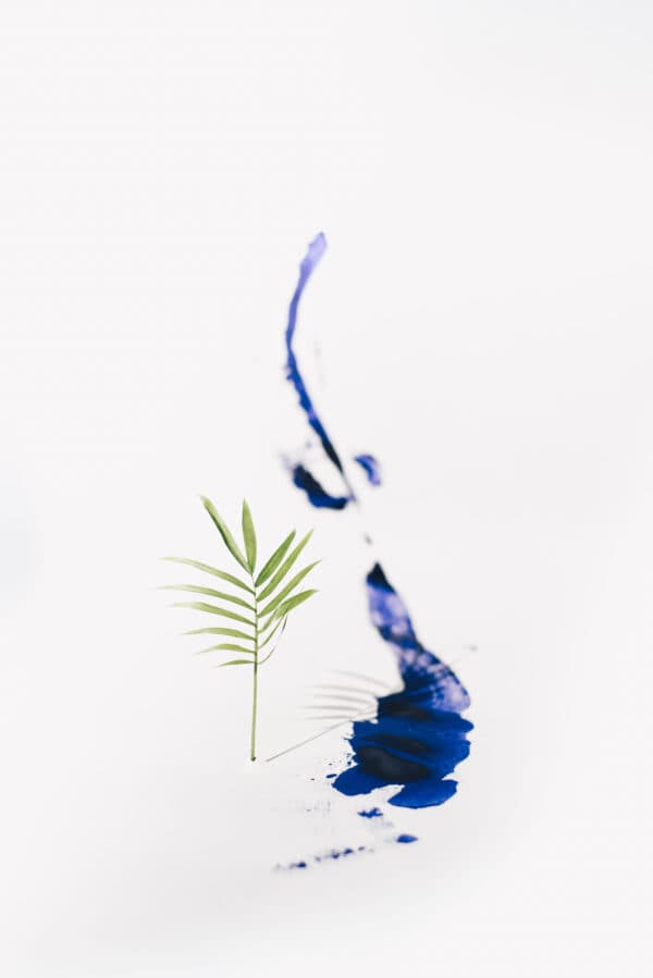 Palm Sunday Shoot 3