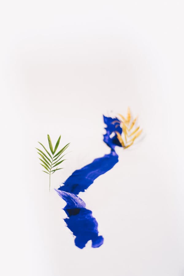 Palm Sunday Shoot 5
