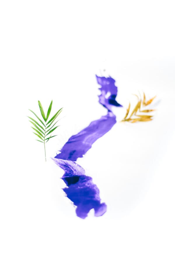 Palm Sunday Shoot 8