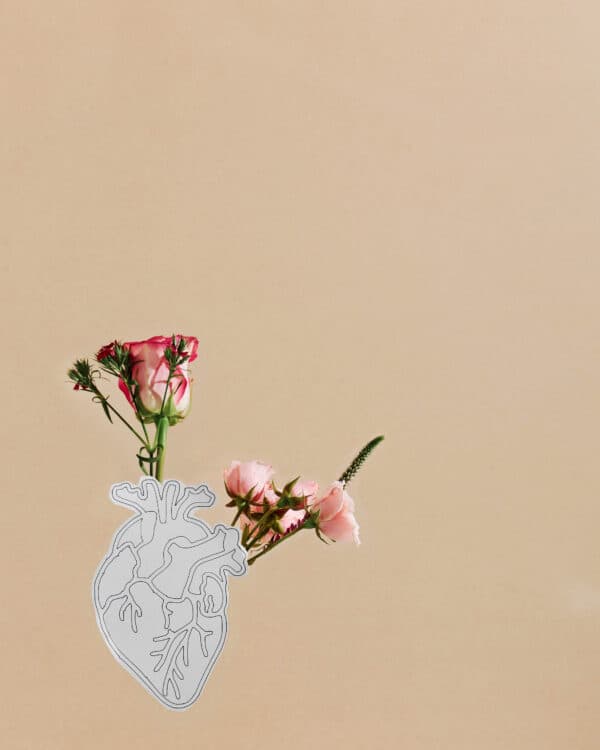 March Studio Shoot 6