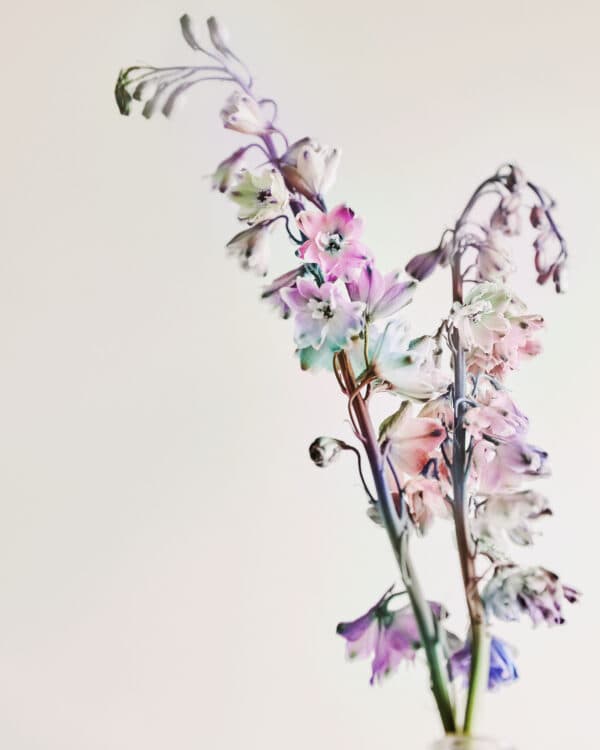 March Studio Shoot 3