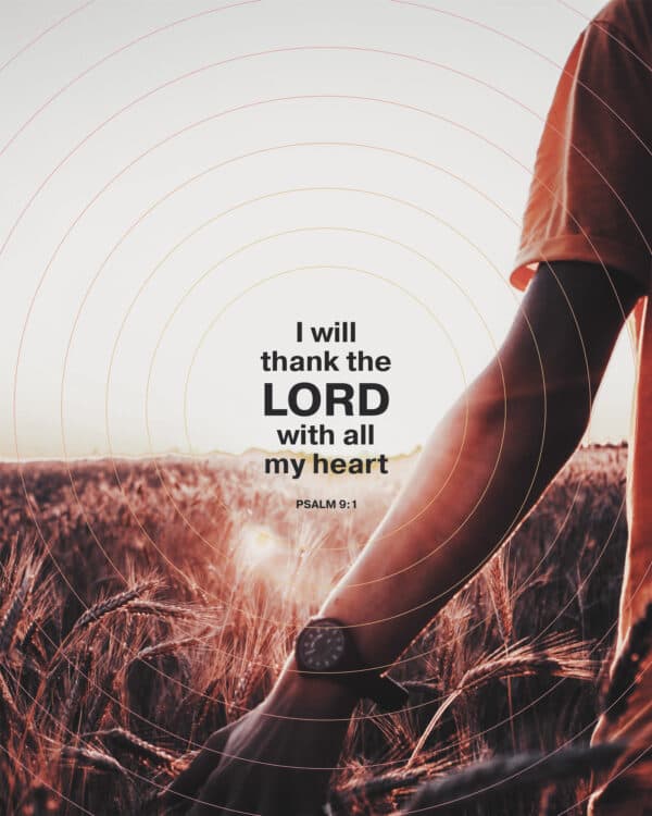 I will thank the LORD with all my heart. - Psalm 9:1