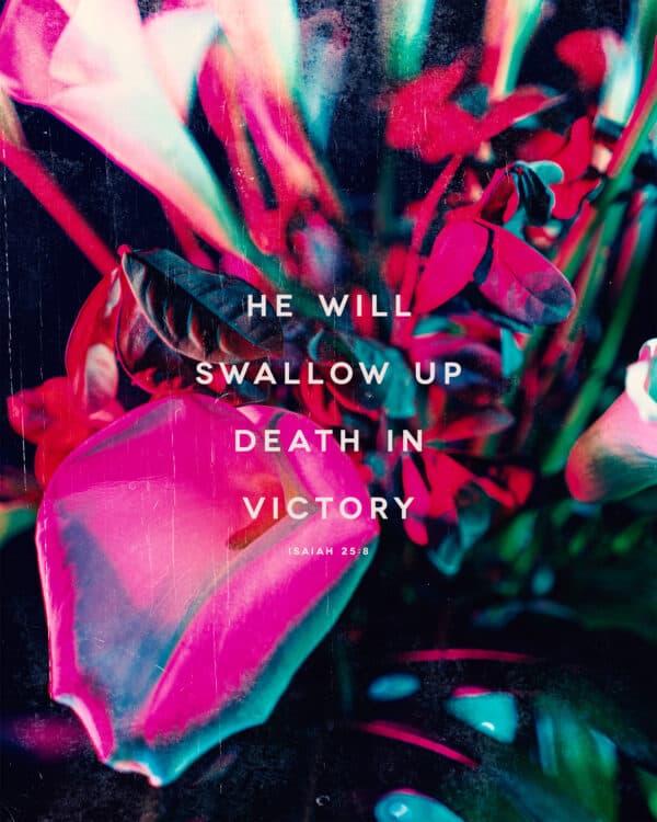He will swallow up death in victory. - Isaiah 25:8