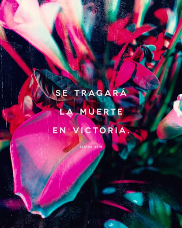 Se tragará la muerte en victoria. - Isaías 25:8