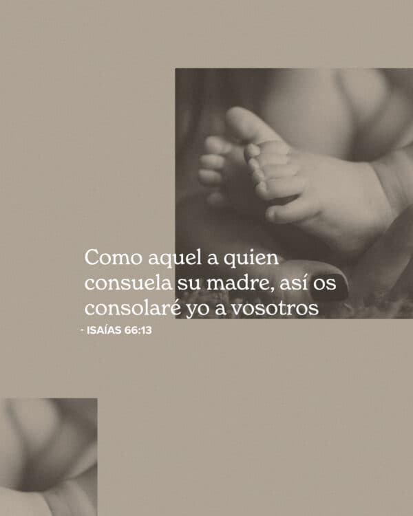 Como aquel a quien consuela su madre, así os consolaré yo a vosotros. - Iasías 66:13