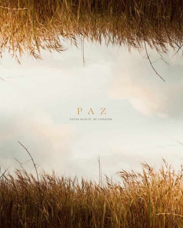 Paz. Estad quieto, mi corazón.