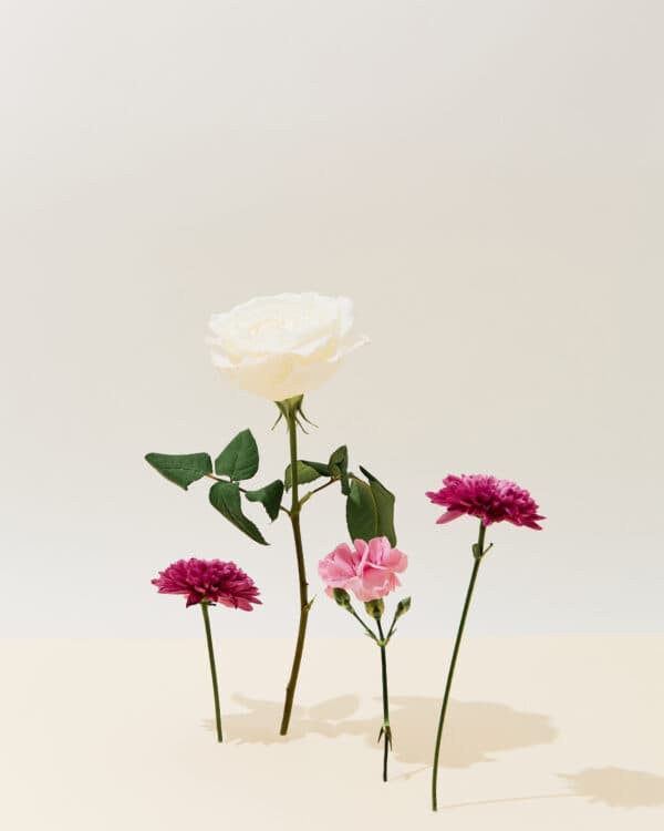 August 2021 Studio Shoot 19