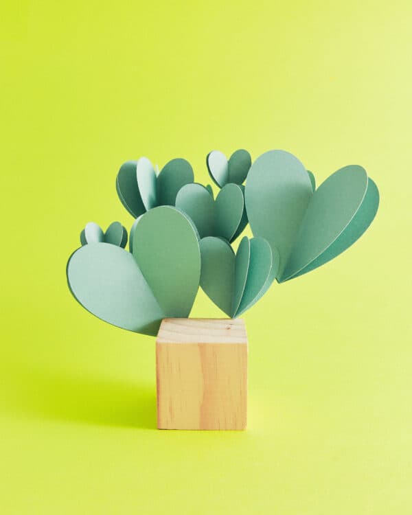 May Studio Shoot 5