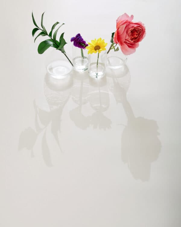 May Studio Shoot 6