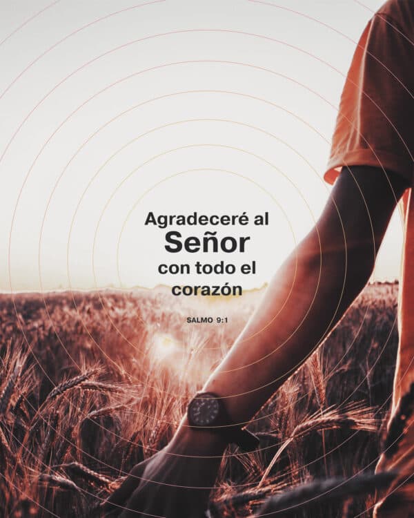 Agradeceré al Señor con todo el corazón. - Salmos 9:1