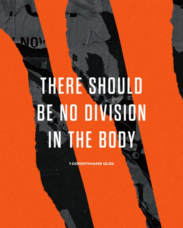 There should be no division in the body. - 1 Corinthians 12:25