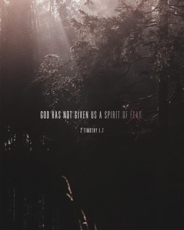God has not given us a spirit of fear. - 2 Timothy 1:7