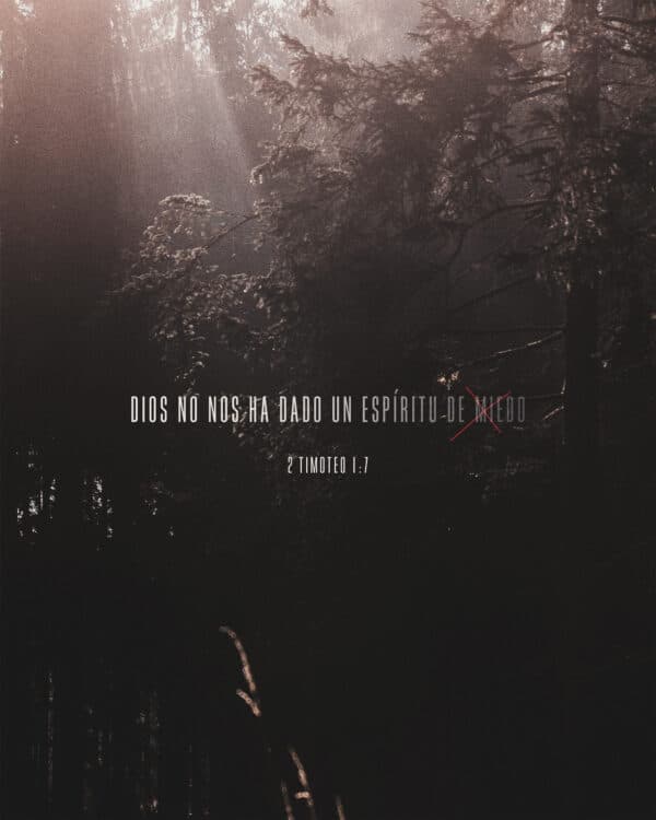 Dios no nos ha dado un espíritu de miedo. - 2 Timoteo 1:7