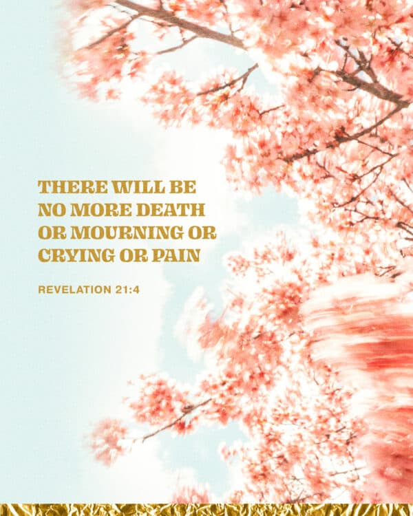 There will be no more death or mourning or crying or pain. - Revelation 21:4