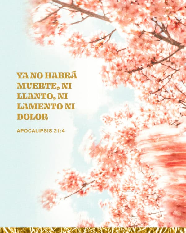 Ya no habrá muerte, ni llanto, ni lamento ni dolor. Apocalipsis 21:4