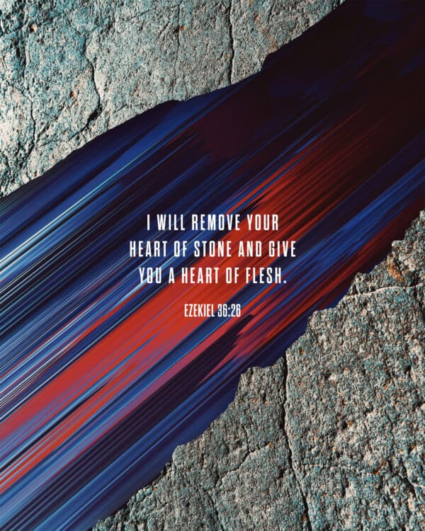 I will remove your heart of stone and give you a heart of flesh. - Ezekiel 36:26