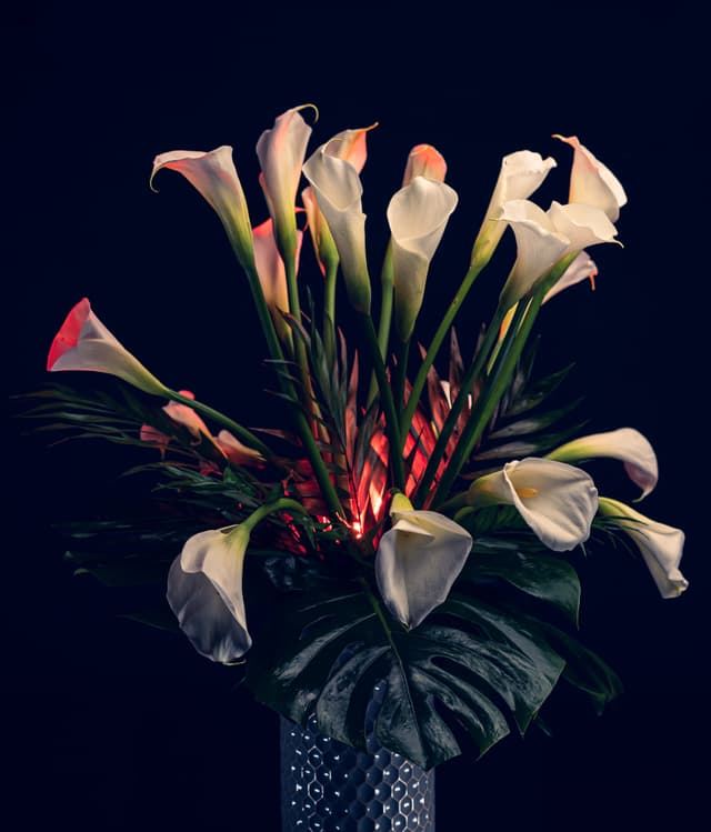 Vivid Flowers 002