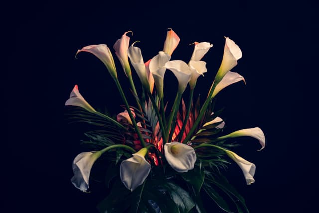 Vivid Flowers 003